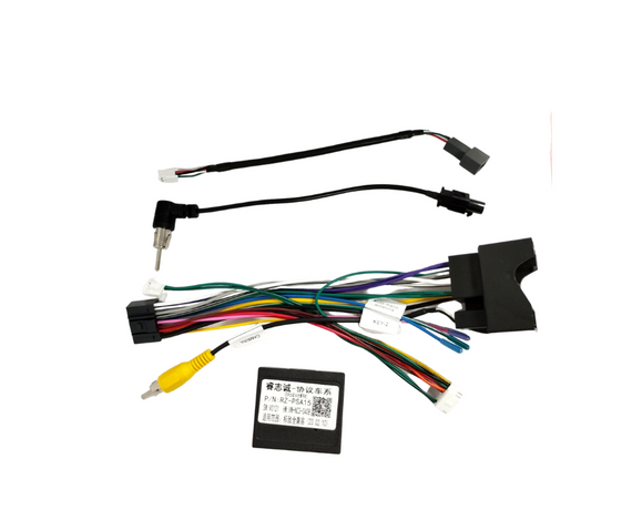 Cambus conector Peugeot