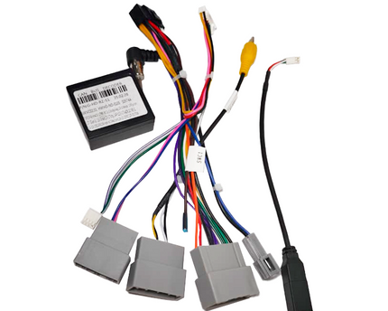 Cambus honda New moderno 2020+