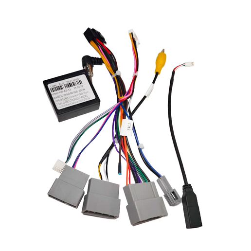 Cambus honda New moderno 2020+