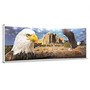 Tapasol corredizo con diseño