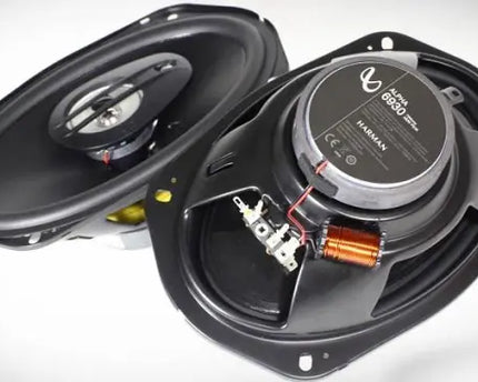 Parlante ovalado INFINITY ALPHA6930 490Wts