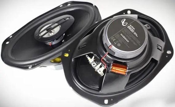 Parlante ovalado INFINITY ALPHA6930 490Wts