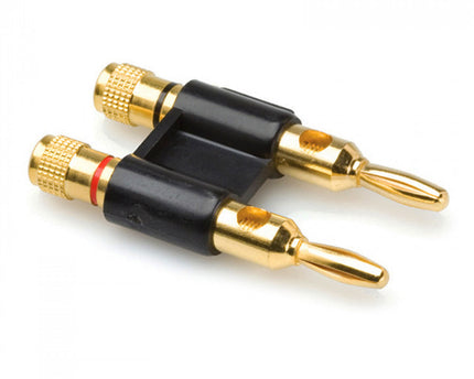 Terminal Banana Gama Media