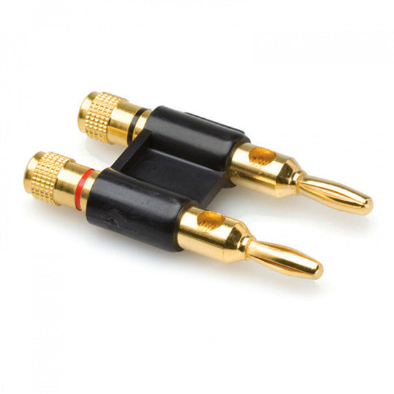 Terminal Banana Gama Media