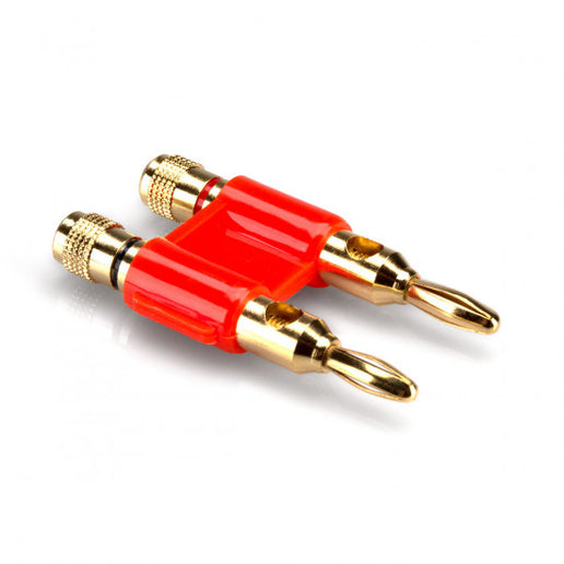 Terminal Banana  Gama Entrada