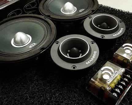 COMPONENTE POTENTE MASSIVE 250 VATIOS RMS DE 6,5"