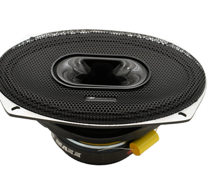 Medio Rango con Driver 6x9"